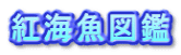 �g�C���}��