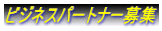 �r�W�l�X�p�[�g�i�[��W
