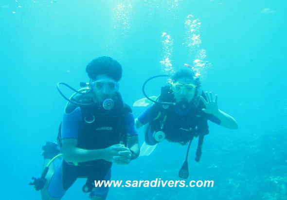 Try diving picture
