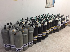 Hurghada sara divers 