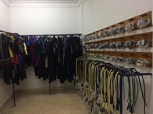 Hurghada sara divers 