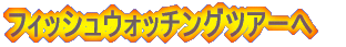 �t�B�b�V���E�H�b�`���O�c�A�[�� 