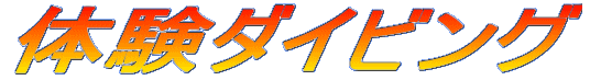 �̌��_�C�r���O